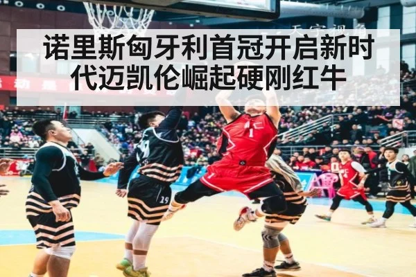 诺里斯匈牙利首冠开启新时代迈凯伦崛起硬刚红牛